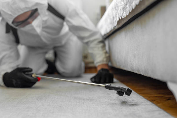 Professional Termite Control technician working in Washington, KS