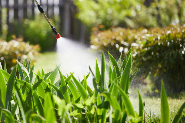 24/7 Emergency Termite Control experts in Washington, KS