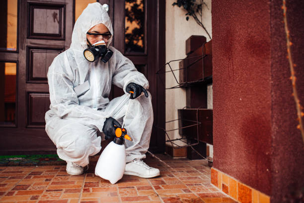 Reliable Termite Control contractor in Washington, KS by Nex Pest Control